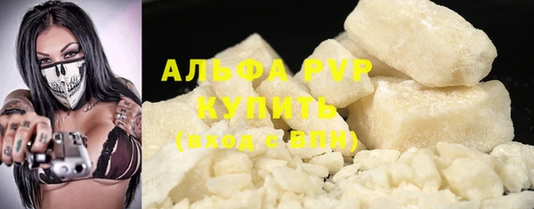 шишки Дмитров