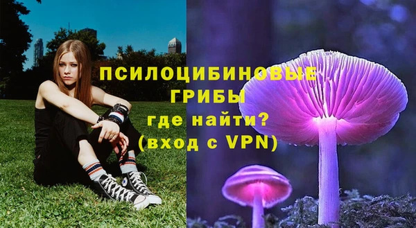 шишки Дмитров