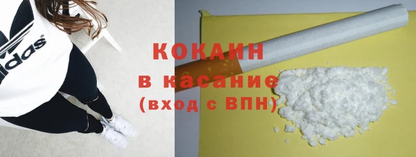 шишки Дмитров