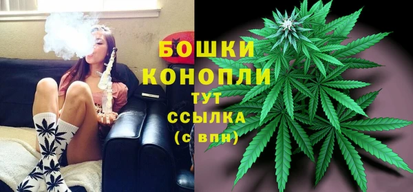 шишки Дмитров