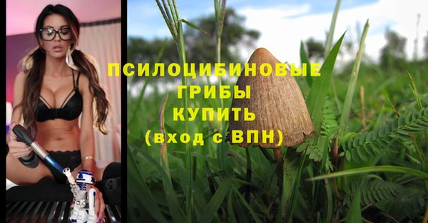 трава Дмитриев