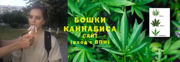 шишки Дмитров