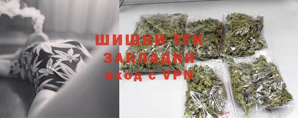шишки Дмитров