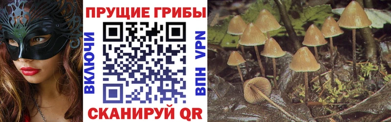 Галлюциногенные грибы мухоморы  Купить закладки  Апшеронск 